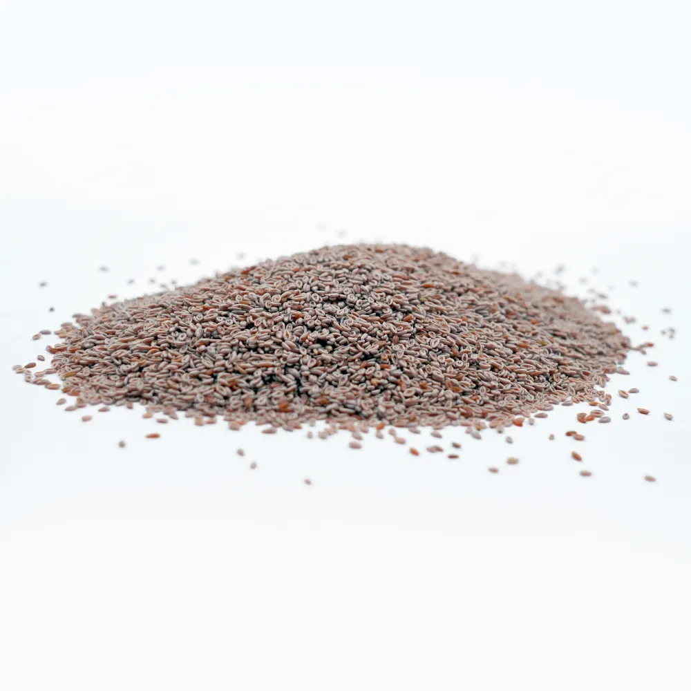 Psyllium Seed