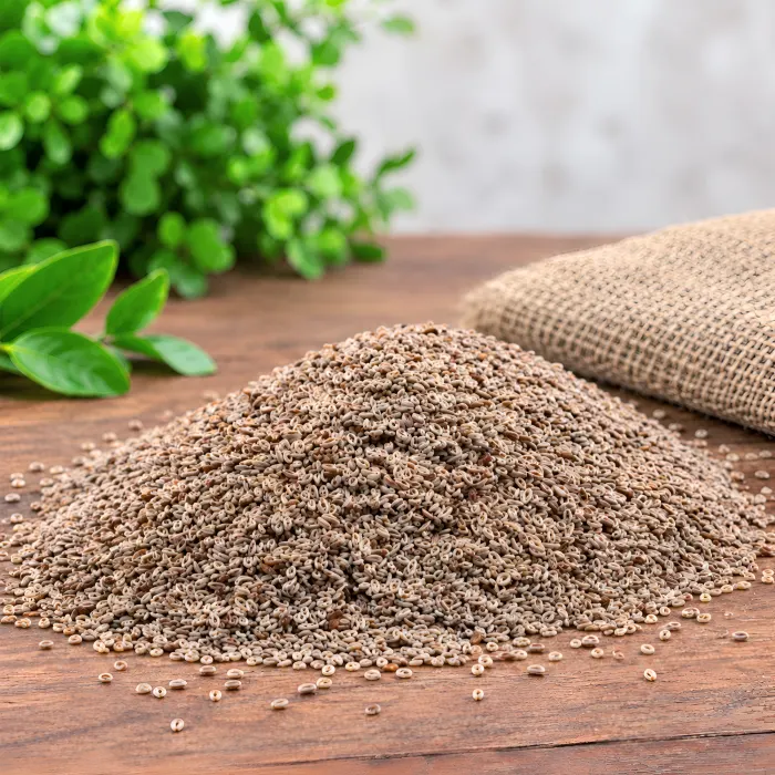 Psyllium Seed
