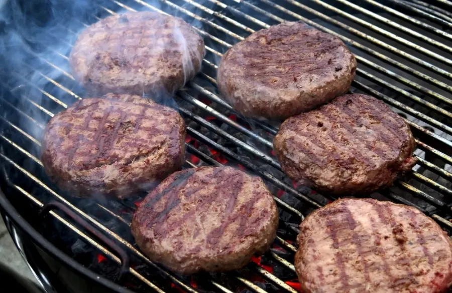 Psyllium in Meat & Plant-Based Foods